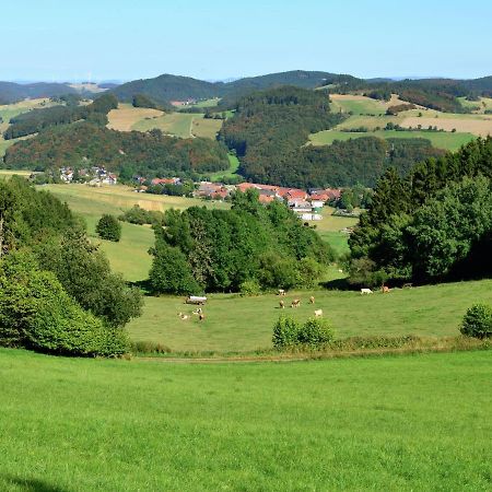 Holiday In The Sauerland Region In Unique Location Willingen  Exterior foto