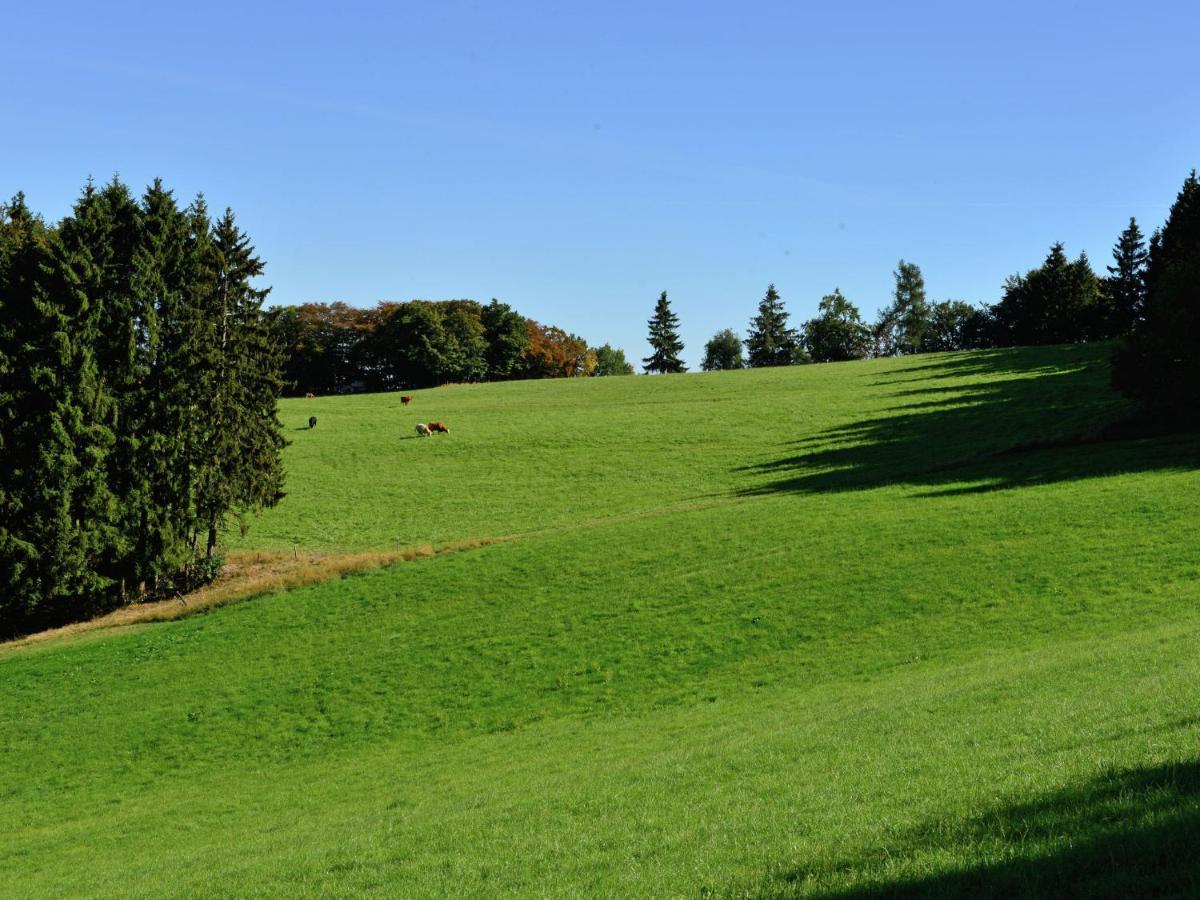 Holiday In The Sauerland Region In Unique Location Willingen  Exterior foto